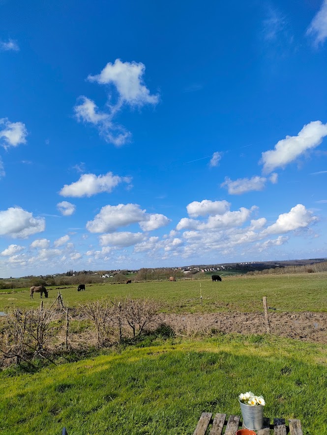 vue du paysage quand on est dans la yourte
