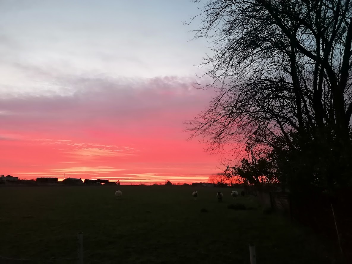 vue et coucher de soleil camping à la ferme en Condroz