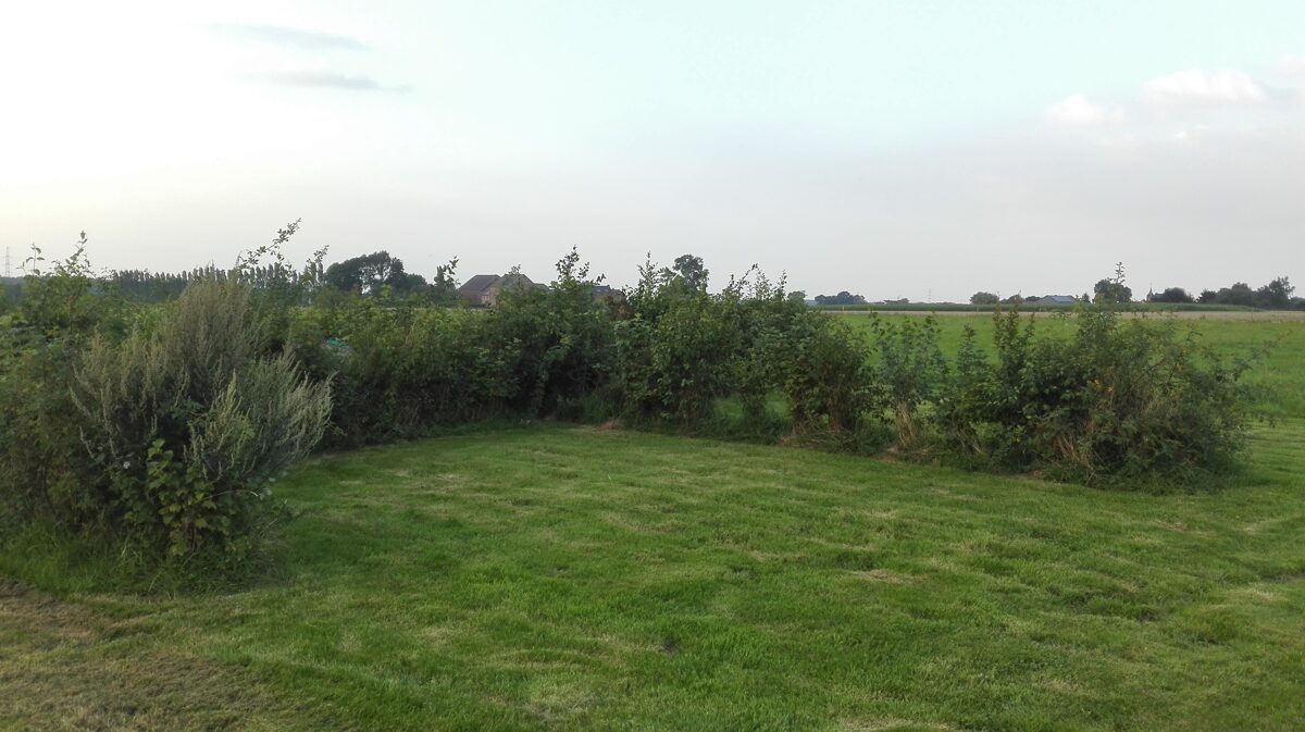 un emplacement camping avec haies